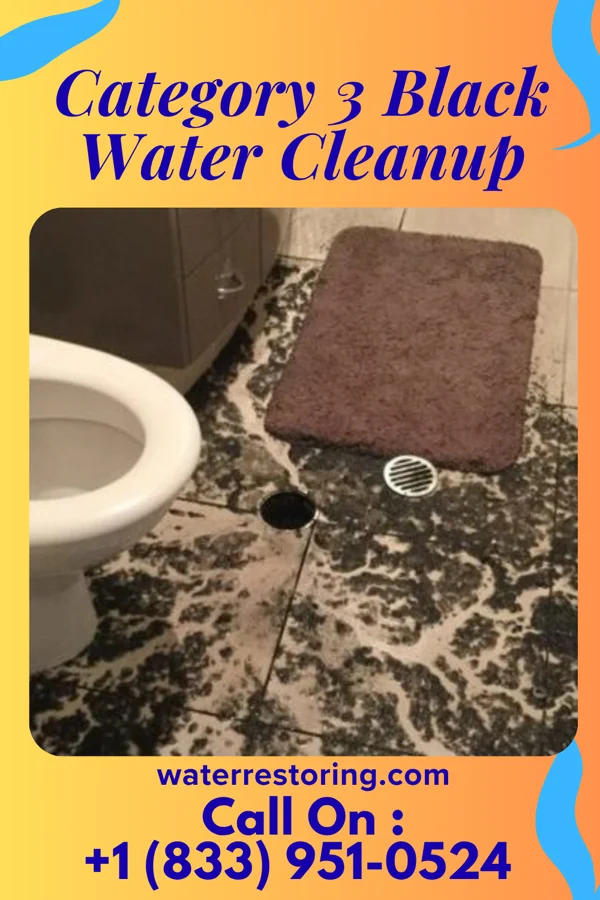 Category 3 Black Water Cleanup in Picuris Pueblo, NM